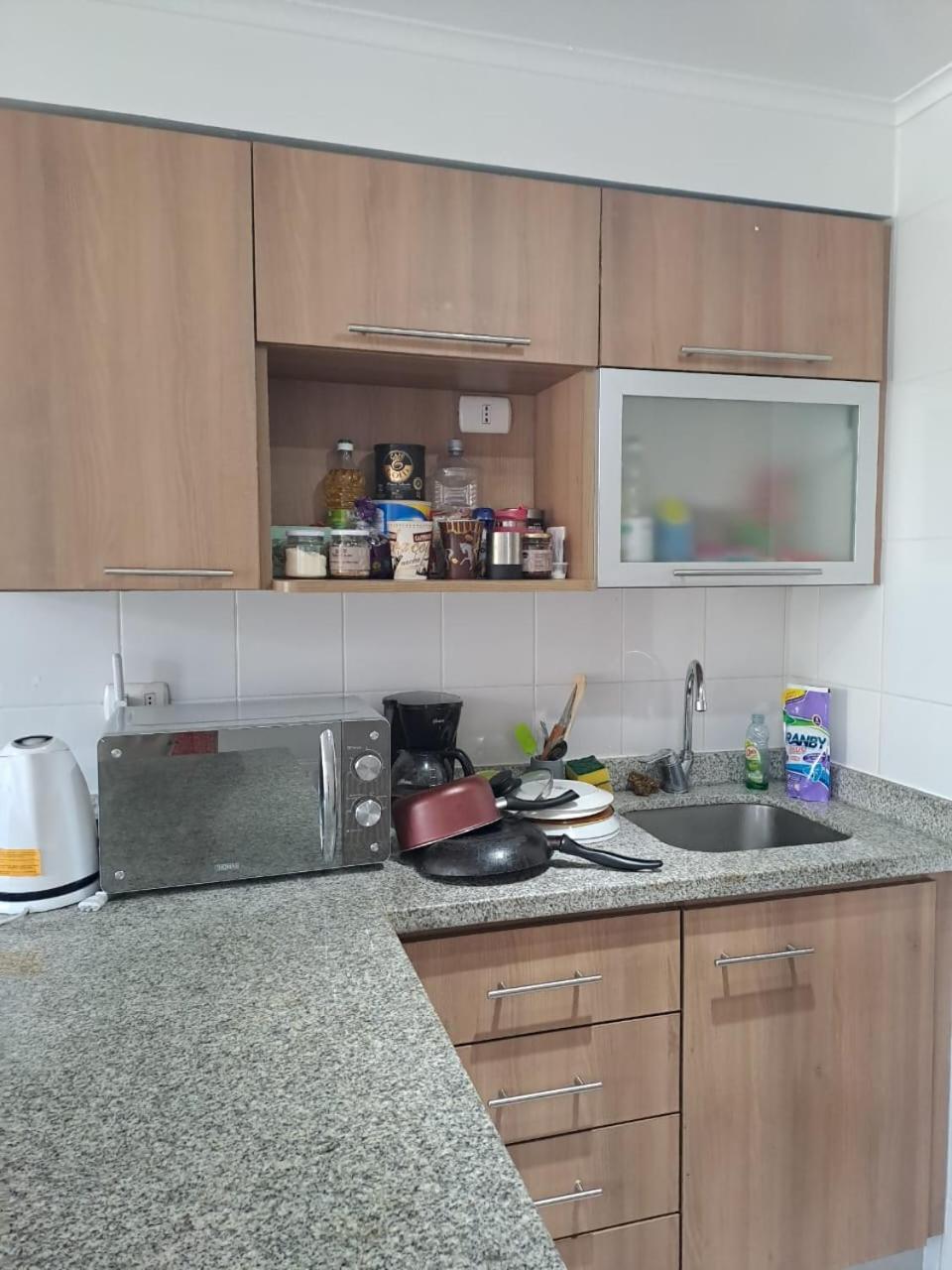 Departamento Centro Apartamento Concepción