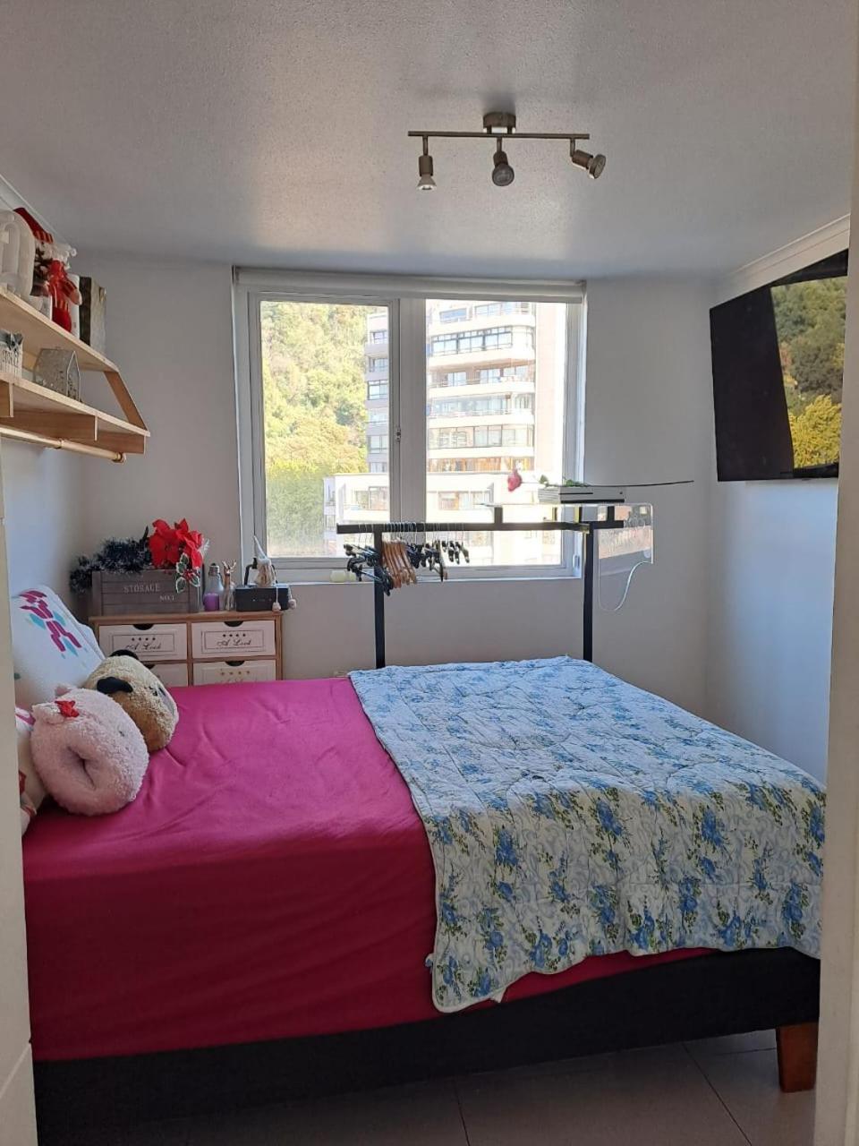 Departamento Centro * Concepción